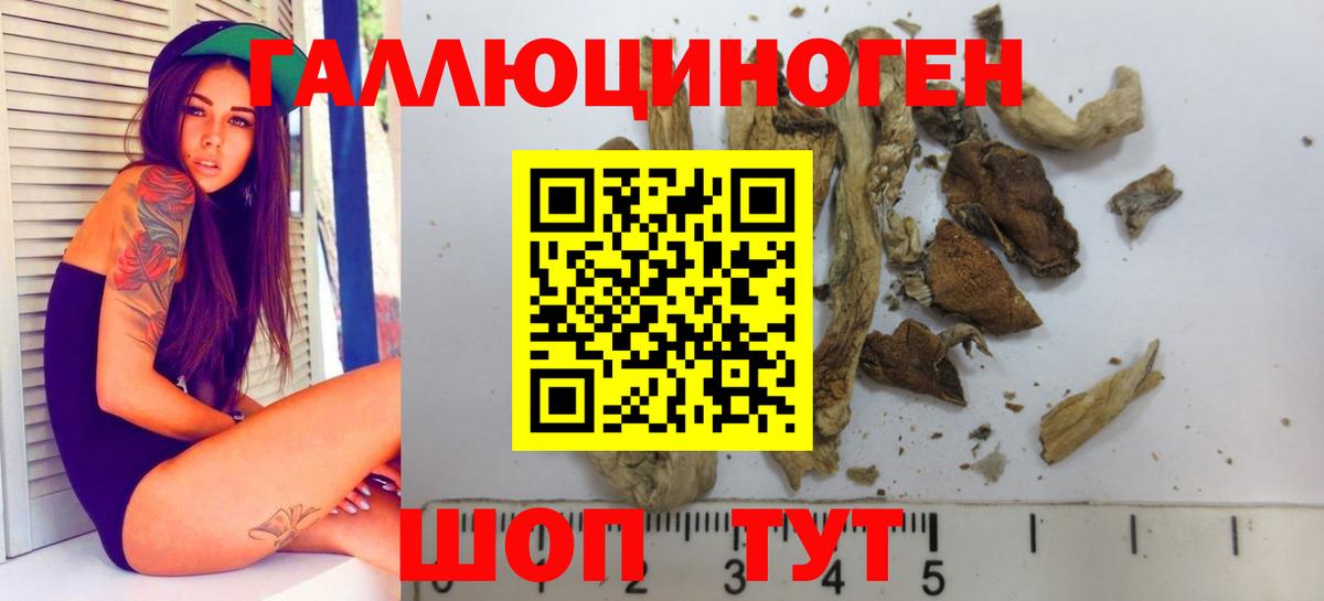 Подольск  Псилоцибиновые грибы Psilocybe  Вход с VPN 