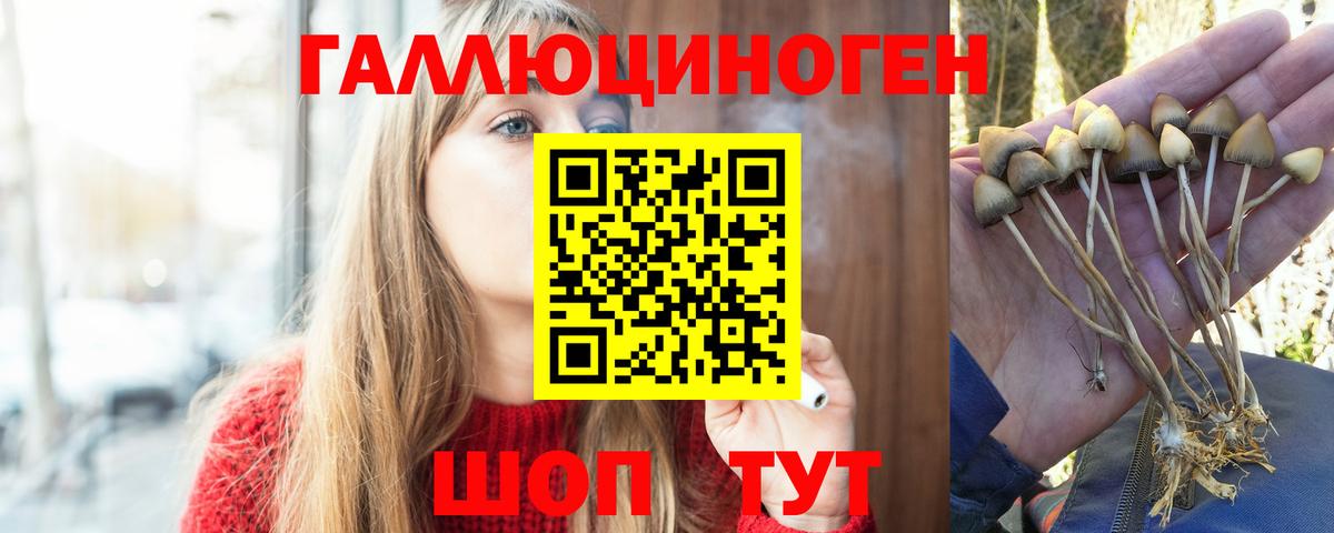 Псилоцибиновые грибы прущие грибы Подольск